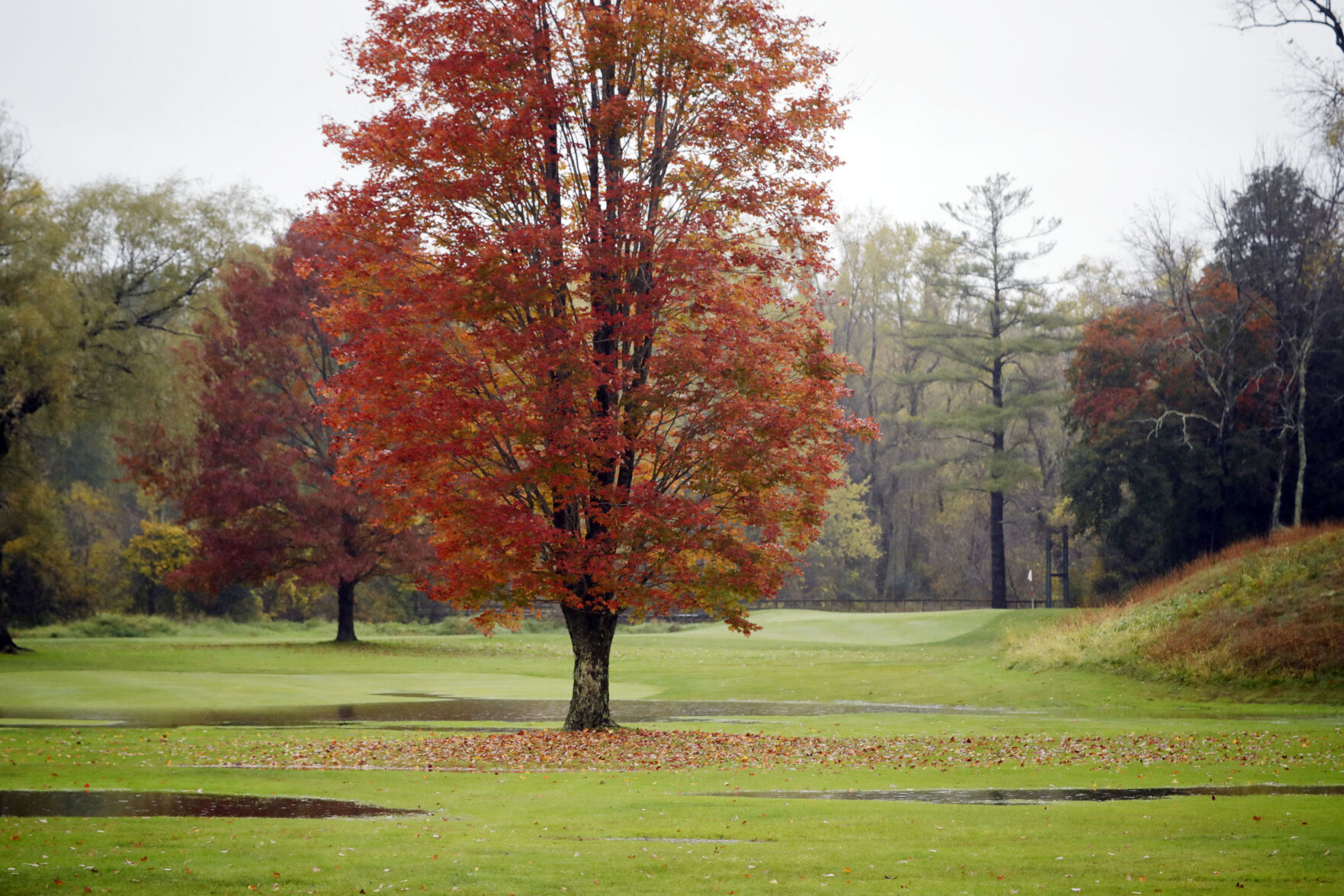 flooded golf course in fall